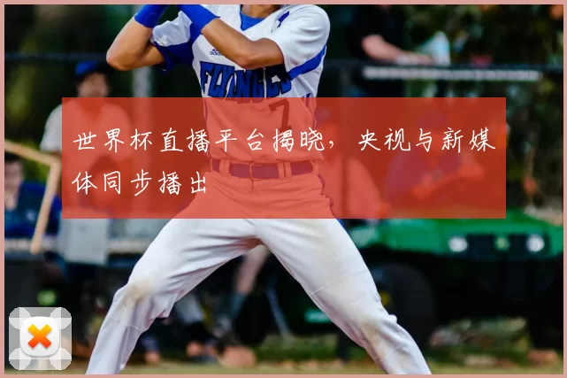 世界杯直播平台揭晓，央视与新媒体同步播出