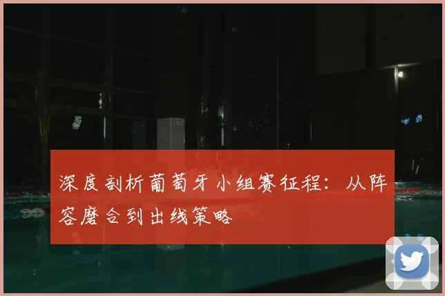 深度剖析葡萄牙小组赛征程:从阵容磨合到出线策略