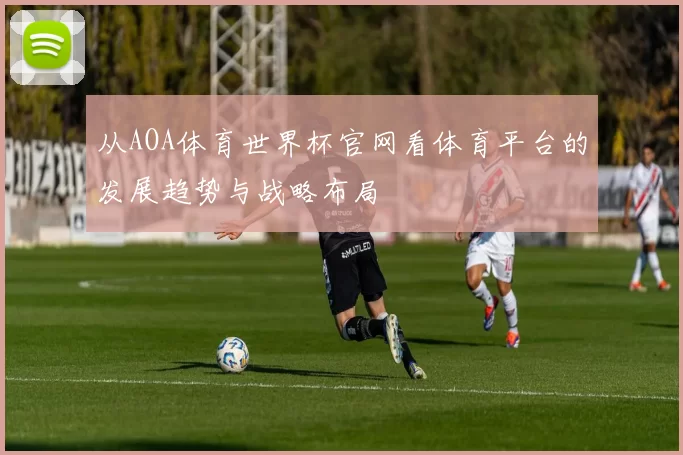 从AOA体育世界杯官网看体育平台的发展趋势与战略布局
