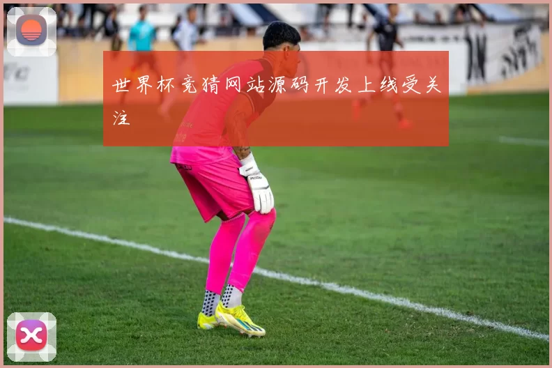 世界杯竞猜网站源码开发上线受关注