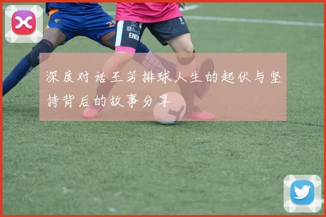 深度对话王芳排球人生的起伏与坚持背后的故事分享