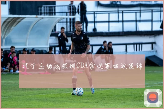 辽宁主场战深圳CBA常规赛回放集锦