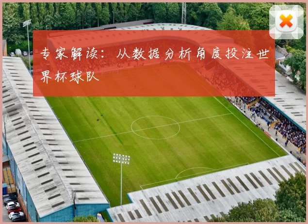 专家解读:从数据分析角度投注世界杯球队