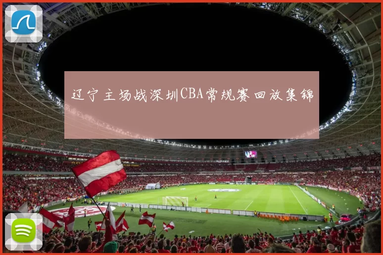 辽宁主场战深圳CBA常规赛回放集锦
