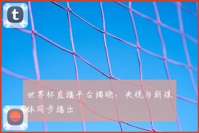 世界杯直播平台揭晓，央视与新媒体同步播出